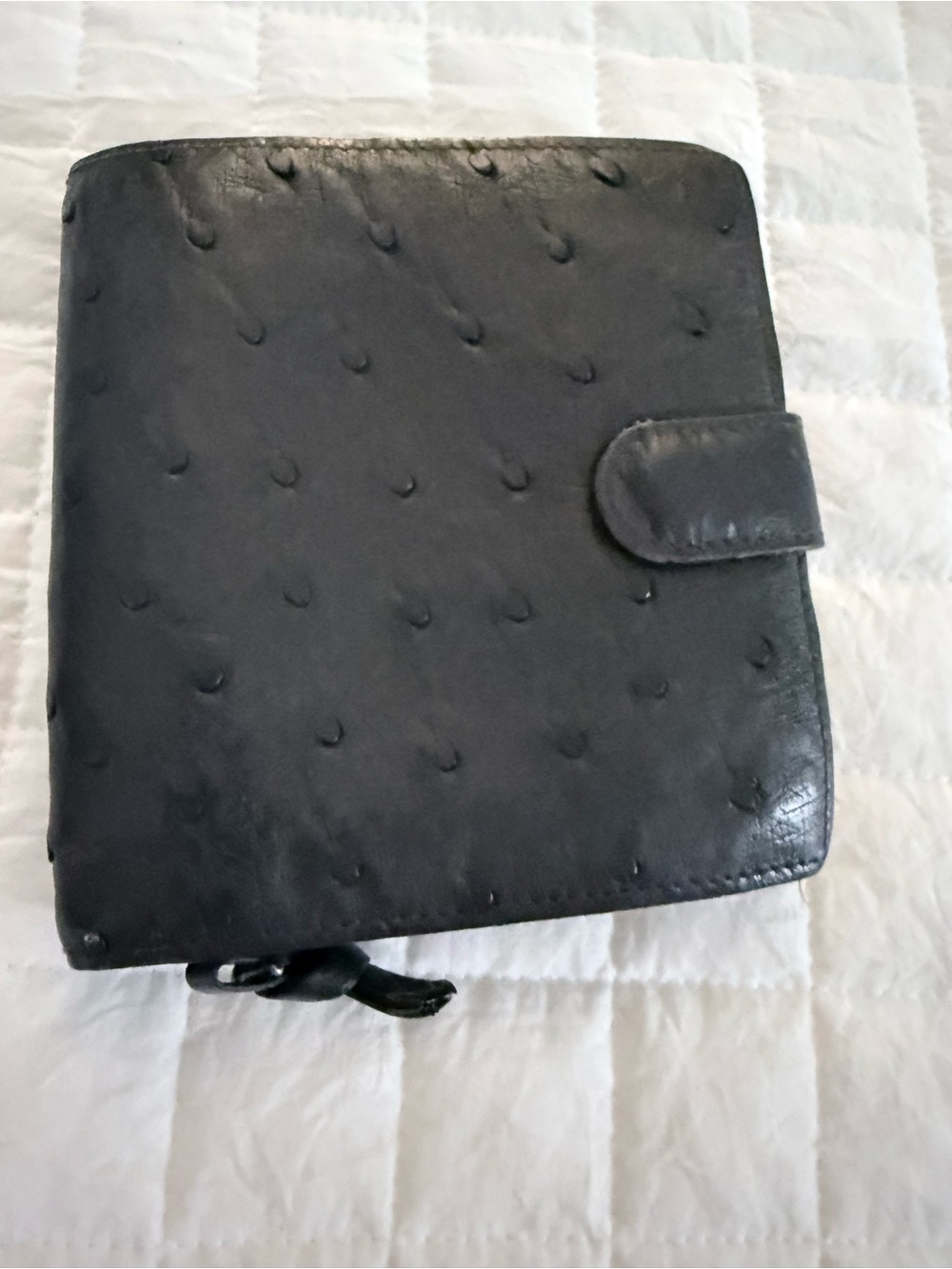 Women’s Bottega Veneta Black Ostrich-Leather Wallet!